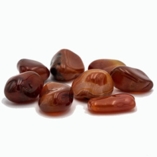 Galet de Cornaline poli